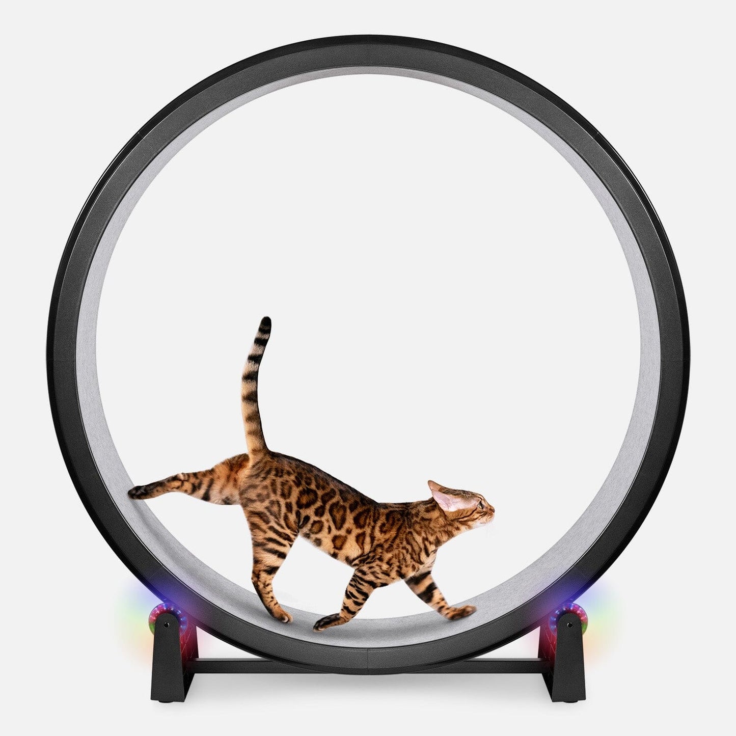 Cat Exercise Wheel